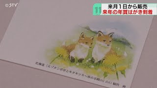 11月から販売年賀はがき　発行枚数は昨年比４億枚減　値上げも影響？札幌中央郵便局に届く