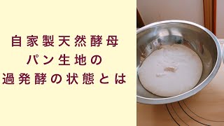 【自家製天然酵母】天然酵母パン生地の過発酵の状態とは？　フルーツ酵母　自家製天然酵母　パン教室　教室開業　大阪　奈良　東京　名古屋　オンライン講座