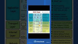 TCP/IP Model