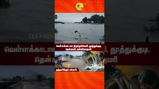 Thoothukudi ⛈️  Tirunelveli 💧 Madurai 🌩️ Kanyakumari💧Tenkasi Rain | வெள்ளத்தில் தத்தளிக்கும் மக்கள்!