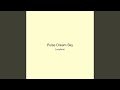 Pulse Dream Sky