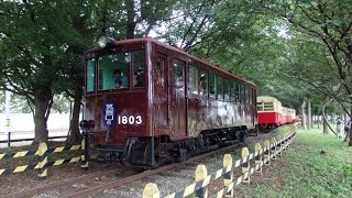 2014.8.24なかよし鉄道(尾小屋鉄道)特別運行 遠鉄キハ1803復元