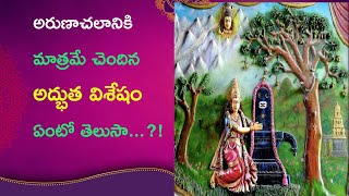 అరుణాచల క్షేత్ర విశేషం ఏమిటో తెలుసా ? | Astonishing Things About Arunachalam \u0026 Surroundings