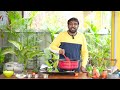 panneer butter pulav recipe in tamil amazing taste easy cooking with jabbar bhai…