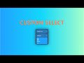 How to design a CUSTOM SELECT box 🖥️ Custom SELECT dropdown javascript