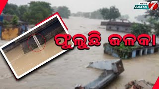 ଲଗାଣ ବର୍ଷା ପରେ ଫୁଲୁଛି ଜଳକା #newslaxmi7 #floodnews #rainyday #moonsoon