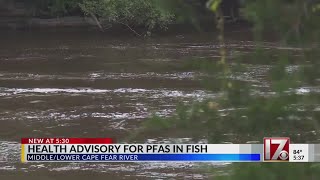 'New findings... not surprising': PFAS found in NC fish 