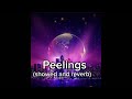 peelings song peelings lofi song showed and reverb lofi song