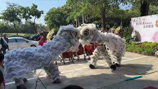 臺灣日興醒獅健身院（喪場） 醒獅表演