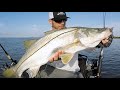 Huge Snook Barely Landed Using SECRET NEW LURE