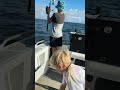 8 year old catching big pearl perch shorts fishing