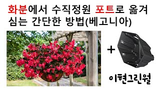 가보그린월 화분에서 수직정원 포트로 옮겨 심는법 / 수직정원 벽면녹화 이현그린월/ 수직정원 활용하기