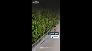 مشروع صيني حول الصحراء إلى غابات