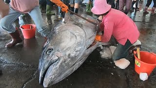 Superb 500KG Giant Bluefin Tuna Cutting Skills