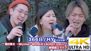 【4K】366日 / HY（cover）“ 福田賢太・Miyone・WORLD LAUGH（Suguru） ” 2020.3.7 新宿東口路上ライブ  4K動画