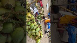 Hardworking Lady Selling Coconut Water at Golden Beach Puri Odisha