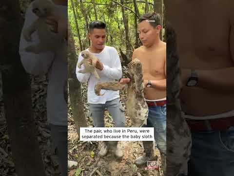 Is sloth Edward’s mother?