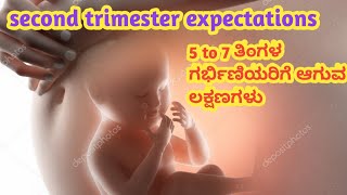 5 to  7 ತಿಂಗಳ ಗರ್ಭಿಣಿಯರಿಗೆ ಆಗುವ ಲಕ್ಷಣಗಳು l second trimester expectations during pregnancy l