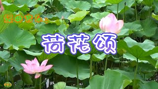 荷花颂 - 小提琴合奏。演奏：陈蓉晖 谢淋