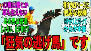 【競馬の反応集】「狂気の逃げ馬と呼ばれた馬です」に対する視聴者の反応集