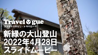 《新緑の丹沢大山・2022年4月28日現在》女坂→山頂までどんな感じの山道かわかるフォトスライド　   #大山 #ハイキング初心者 #4K #VLOG #丹沢大山