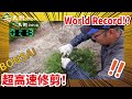 【Super high speed pruning!】Secret technique of Japanese Bonsai master!!