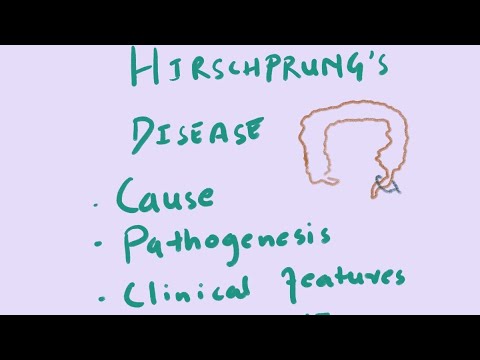 Hirschsprung Disease: Cause, Pathogenesis, Clinical Features And ...