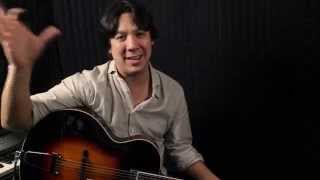 The Loar LH-350VS Hollowbody guitar \