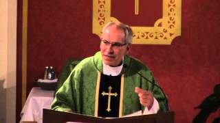 Twenty-Ninth Sunday in Ordinary Time (Year B) - Fr. Hahn