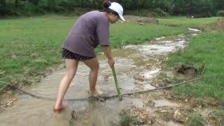 【異世界漫画】Wild Fishing Unique, Really Amazing Excellent Search & Catching Fish By Hand Fishing #fishing