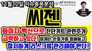 씨젠(096530)-화이자 백신으로 진단키트 관련주가 급락하고 있다! 이제는 손절가를 정해놓고, 철저하게 리스크를 관리 하여야 한다!