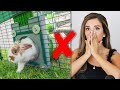 REACTING TO OUR SUBSCRIBERS RABBIT HABITATS & CALLING THEM! 📞 | Pt. 5