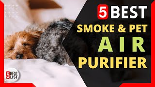 🏆 5 Best Air Purifier for Smoke and Pets You Can Buy In 2021