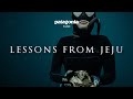 Lessons from Jeju | Freediving and Motherhood with Kimi Werner | Patagonia