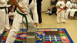 McAlester TKD Demonstration - Mike Caniglia Breaking Two Concrete Blocks With Palm Strike