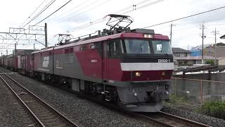 【Japan Railway】桜コンテナあり! 3083レ EH500-1牽引