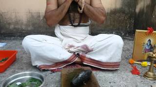 Rasamani Preparation Siddhar Method Training Class - Video 2