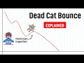 What is Dead Cat Bounce? 🐱 [Explained]