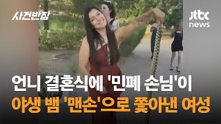 언니 결혼식에 '민폐 손님'이…야생 뱀 '맨손'으로 쫓아낸 여성 #글로벌픽 / JTBC 사건반장