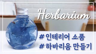 10분 만에 만드는 인테리어 소품 / 하바리움 만들기 방법🌷/ diy 취미 추천