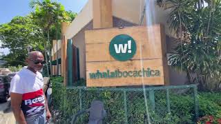 WHALA! BOCA CHICA 3*, DOMINICAN REPUBLIC. 4K VIRTUAL TOUR