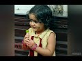 uppum mulakum onam celebration with parukutty onam special flowers tv