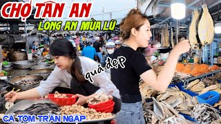 Bắt Gặp Cô Bán Khô Xinh Đẹp Tại CHỢ TÂN AN LONG AN MÙA LŨ SỚM Cá Tôm Tràn Về MUA KHÔNG KỊP BÁN KPVL