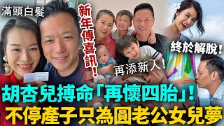 新年傳喜訊！胡杏兒再懷四胎！為圓老公女兒夢，冒高齡風險產子！45歲滿頭白髮有苦講唔出！今次終於解脫喇！#胡杏兒 #港圈日報