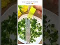 Vegetable Cutter scissor 😍 #shorts #gadgets