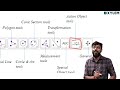 plus two maths lab 0 ഇത് അറിഞ്ഞില്ലെങ്കിൽ പണി കിട്ടും xylem plus two