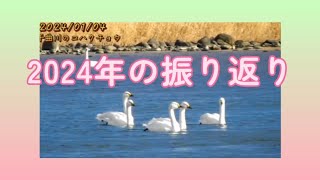 2024年 花と野鳥と私の思い出