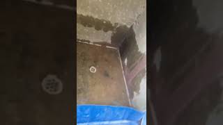 Oops They Struck A Leak