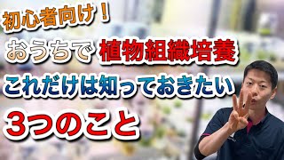 【初心者必見！】おうちで植物組織培養を始める前に絶対知っておきたい３つのこと