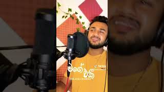 #Mage_Eki🎼 මං නම් මගෙ එකම මලට🌹ආසයි🥰😉 #trendingsong #viralsong #tiktokviral #Thilanka_Mahesh #short